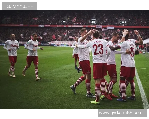 安特卫普与皮尔森激战在即谁将赢得这场精彩对决