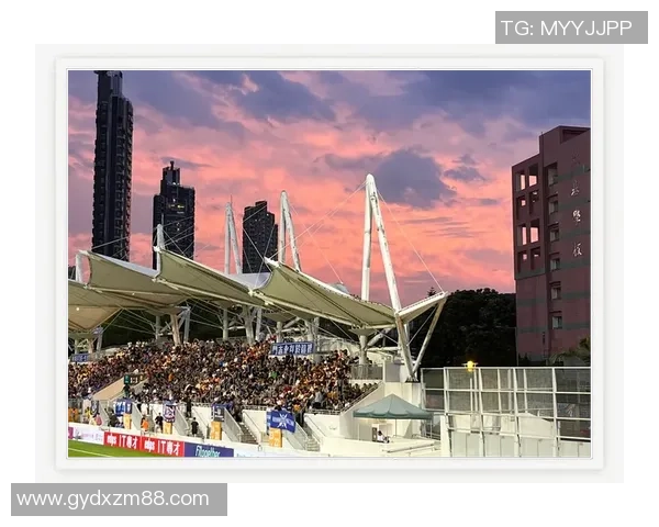 深圳队迎战浙江毅腾期待精彩对决球迷热情高涨助威现场气氛火爆